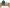 Big Green Egg vs Kamado Joe: Which Should You Buy?