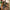 Big Green Egg Medium Egg Built Bundle