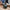 Big Green Egg MiniMax Carrier Bundle