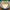 Big Green Egg convEGGtor