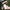 Big Green Egg EGG Genius Wi-Fi Temperature Controller