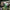 Big Green Egg EGG Genius Wi-Fi Temperature Controller